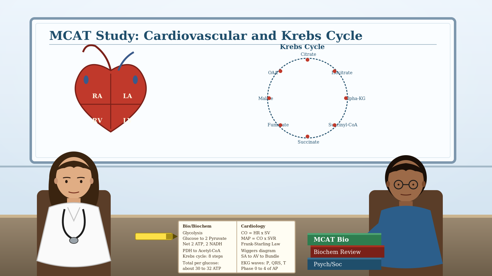 Premed students studying MCAT cardiovascular and Krebs cycle
